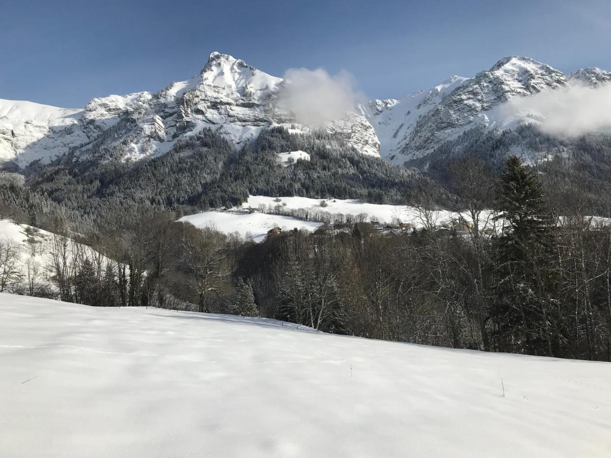 Magnifique T3 Entre Lac Et Montagne Pres D'Annecy Montmin Exterior photo