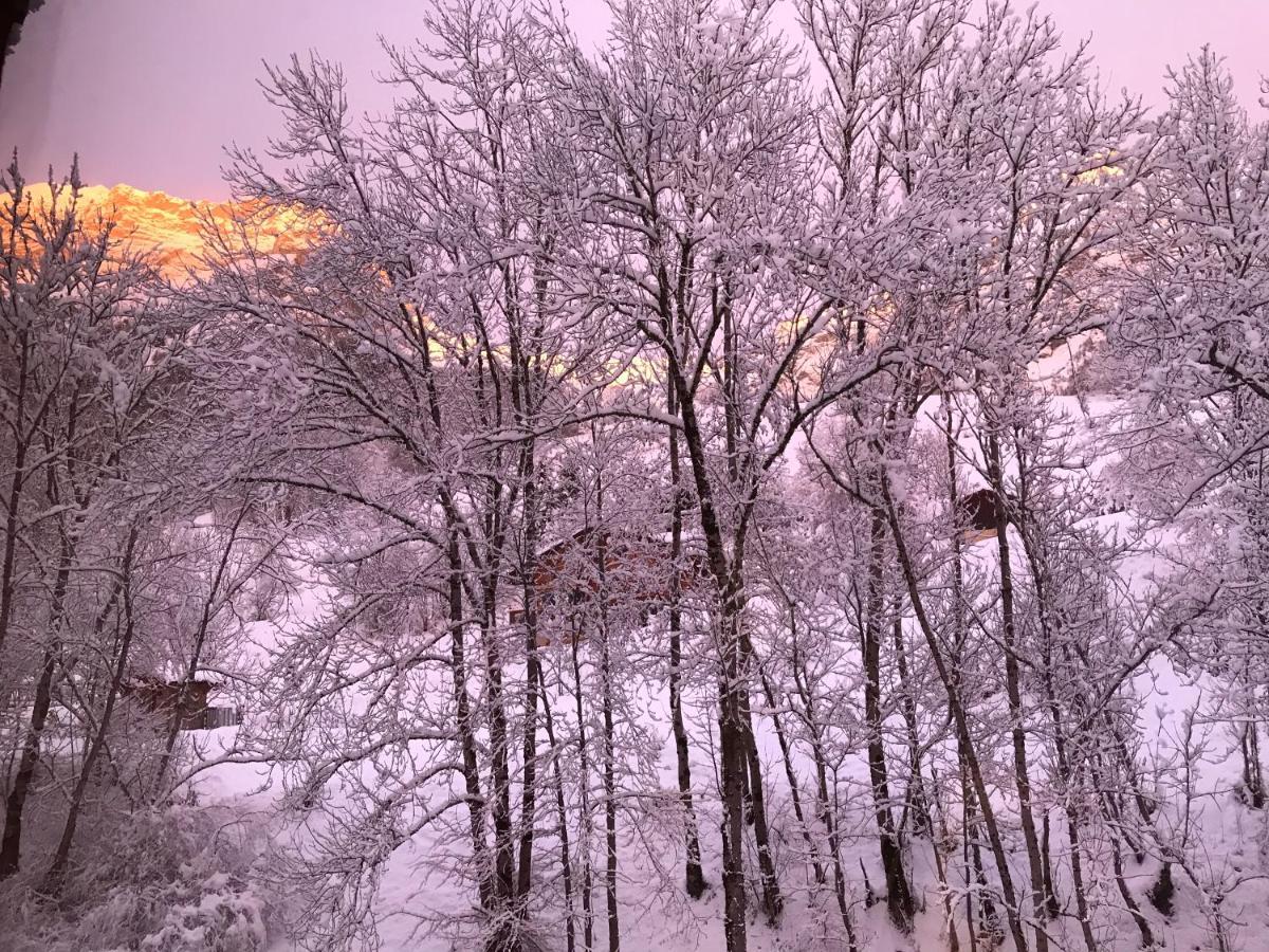 Magnifique T3 Entre Lac Et Montagne Pres D'Annecy Montmin Exterior photo
